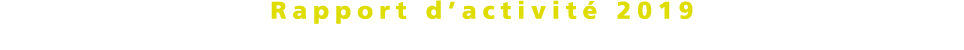 Rapport d activit  2019