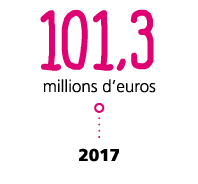 101,3 millions d euros  2017
