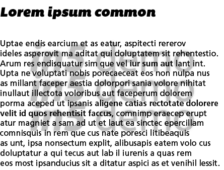 Lorem ipsum common  Uptae endis earcium et as eatur, aspitecti rererov ideles asperovit ma aditat qui doluptatem sit    