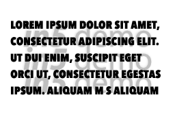 Lorem ipsum dolor sit amet, consectetur adipiscing elit  Ut dui enim, suscipit eget orci ut, consectetur egestas ipsu   