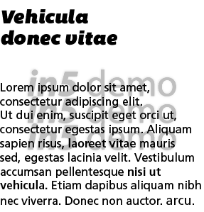Vehicula donec vitae  Lorem ipsum dolor sit amet, consectetur adipiscing elit  Ut dui enim, suscipit eget orci ut, co   