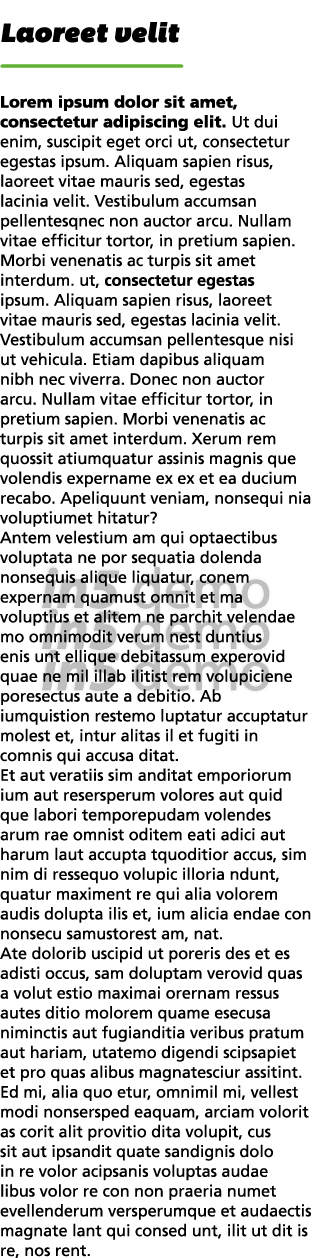 Laoreet velit  Lorem ipsum dolor sit amet, consectetur adipiscing elit  Ut dui enim, suscipit eget orci ut, consectet   